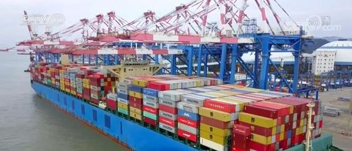 廈門商貿新篇章 沿海港口開辟新航線助力外貿穩增長